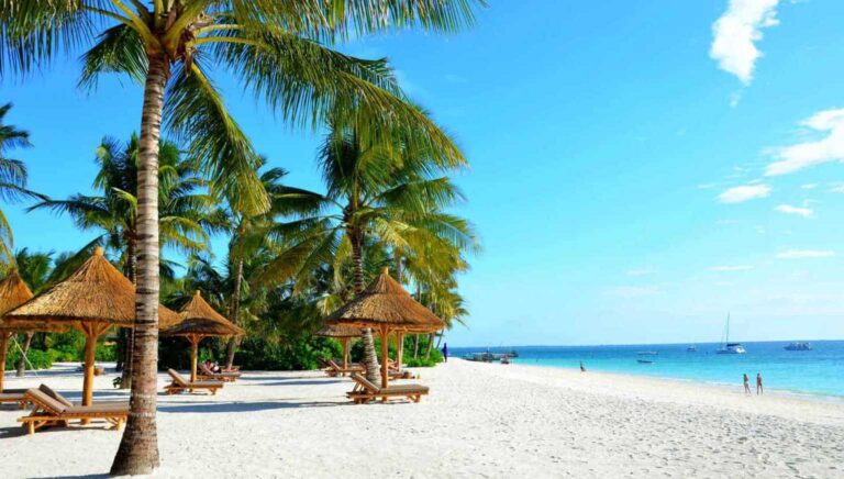 10 Days Tanzania Wildlife and Zanzibar Beach Holiday