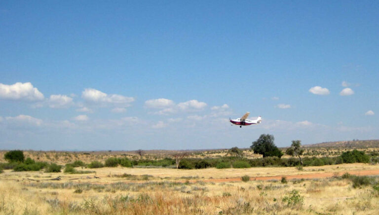 3 Days Serengeti Fly-in Safari